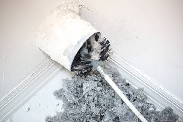 Best Residential Air Duct Cleaning  in Vicksburg, MI